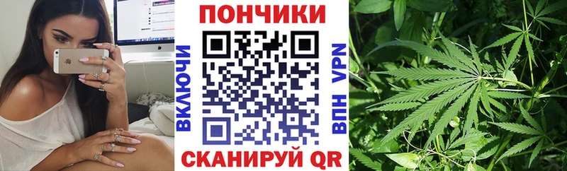 Бошки Шишки марихуана  Усть-Илимск 